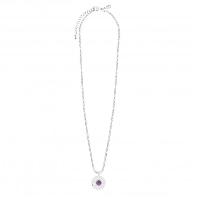 Birthstone a little February Amethyst Necklace 4655