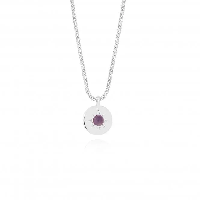 Birthstone a little February Amethyst Necklace 4655