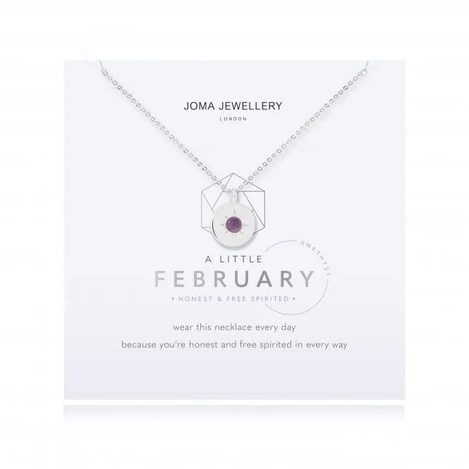 Birthstone a little February Amethyst Necklace 4655