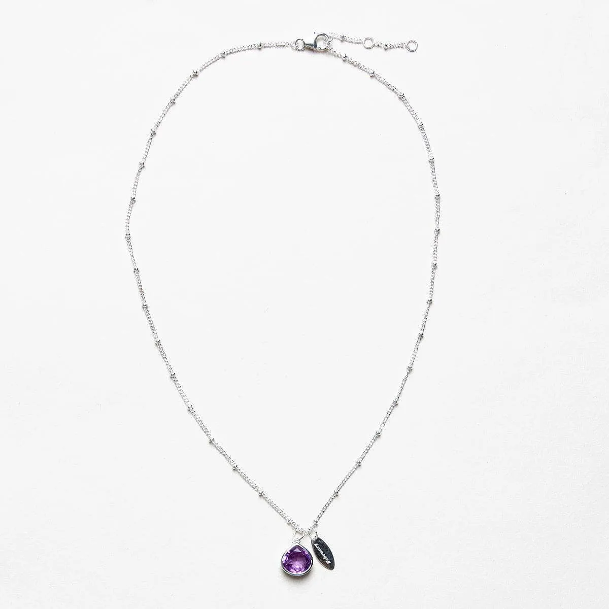 February Amethyst Birthstone Necklace by Tiny Rituals