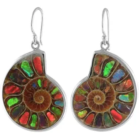 Starborn Ammolite inlaid Ammonite Earrings